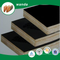 Shandong professional black film faced plywood for outdoor